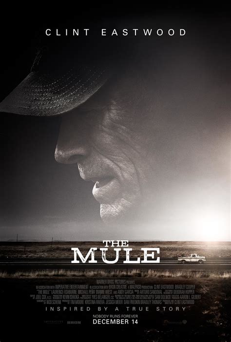 the mule filmweb